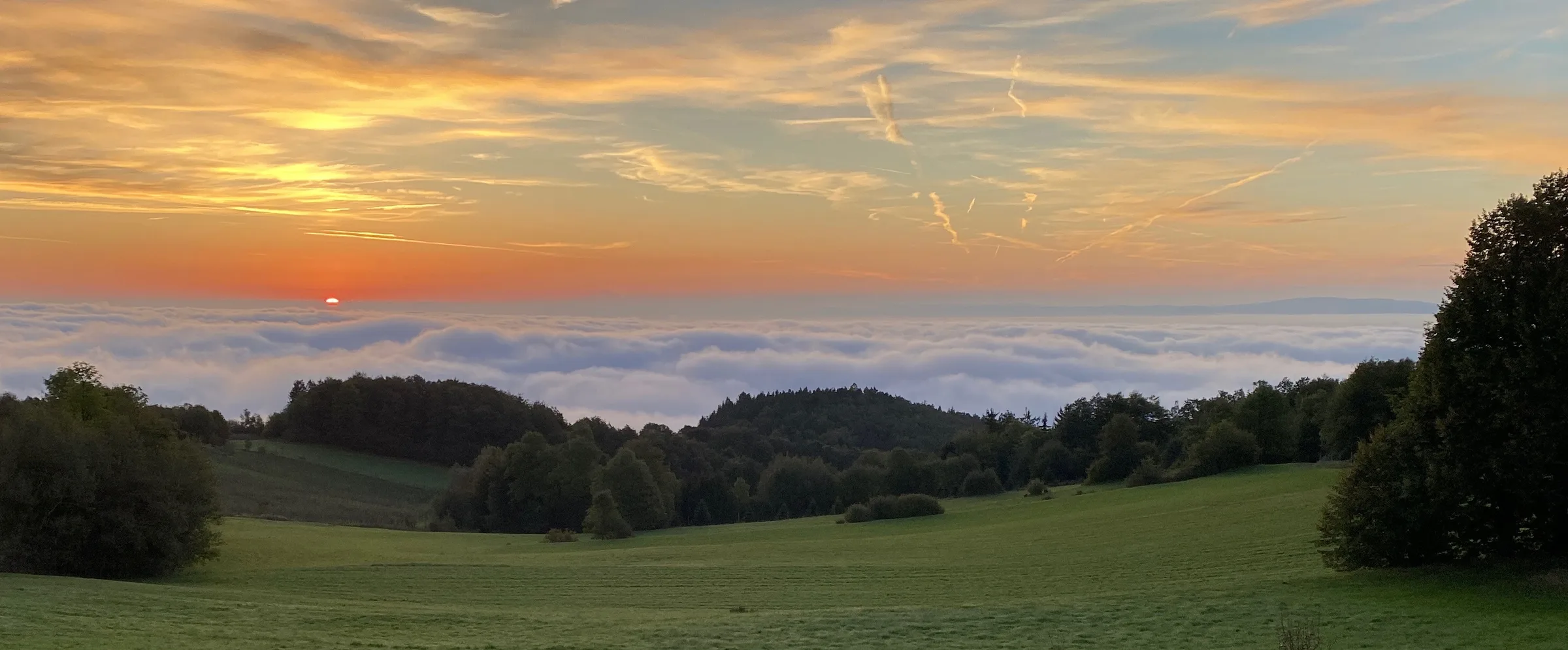Blick über den Jauerling